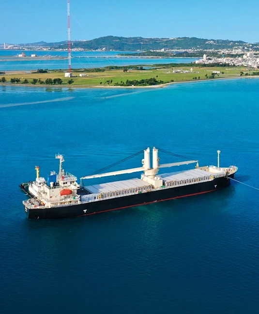 Dry Bulk Transportation